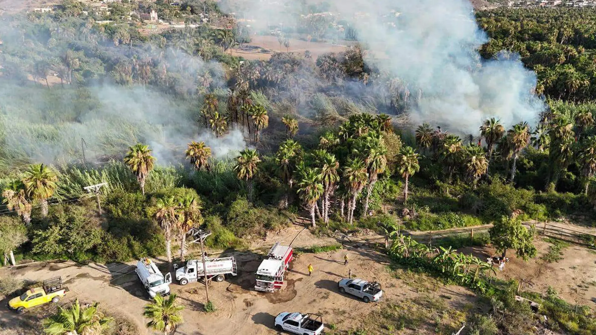 Incendio palmares la paz 1